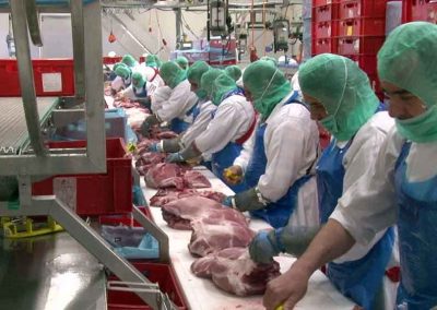 Workers in the Tonnies Fleisch meat factory, Germany