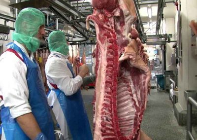 Workers in the Tonnies Fleisch meat factory, Germany